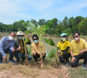 กิจกรรมปลูกต้นกล้วยสามัคคี พืชผักสวนครัวต่างๆ ณ ศูนย์เศรษฐกิจพอเพียงฯ บ้านแก่นทราย หมู่ที่ 14